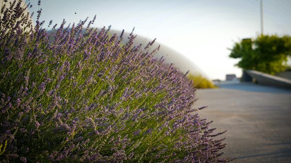 Comment faire des porte-outils avec des boîtes de conserve ?