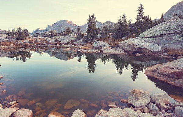 Quelles sont les solutions de rangement intelligent pour optimiser un petit espace de vie ?