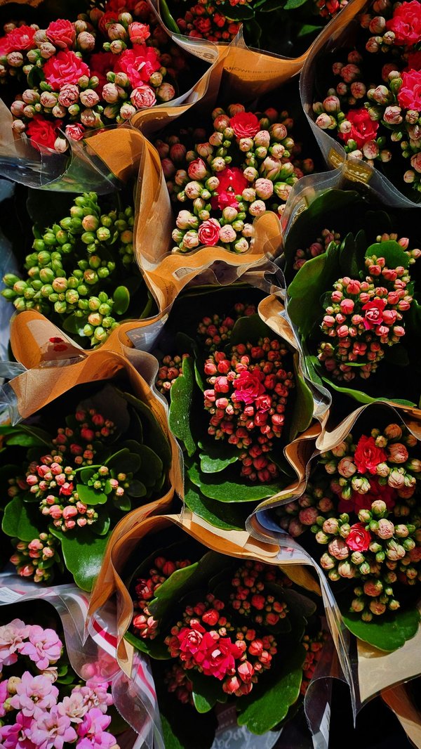 Le guide pour bien choisir son bouquet surprise coloré pour une occasion spéciale